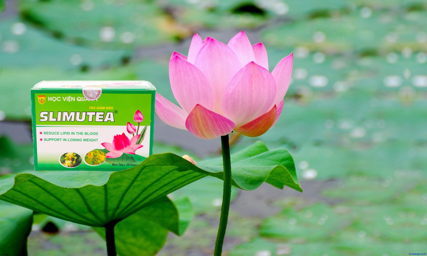 trà lá sen slimutea giảm cân tại Sài Gòn