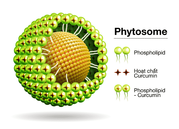 Công nghệ Phytosome