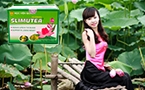 Trà lá sen giảm cân slimutea ở Phú Nhuận